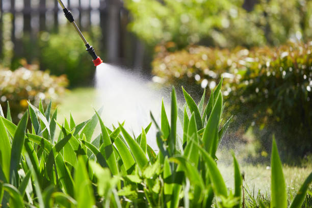 24/7 Emergency Fumigation Services experts in Pineville, KY